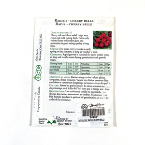 Radish - Cherry Belle Seeds, OSC