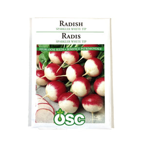 Radish - Sparkler White Tipped Seeds, OSC