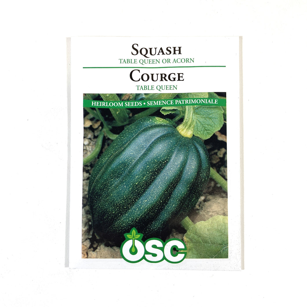 Squash - Acorn Table Queen Seeds, OSC