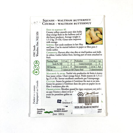Squash - Waltham Butternut Seeds, OSC