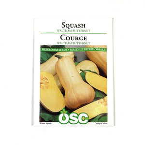 Squash - Waltham Butternut Seeds, OSC