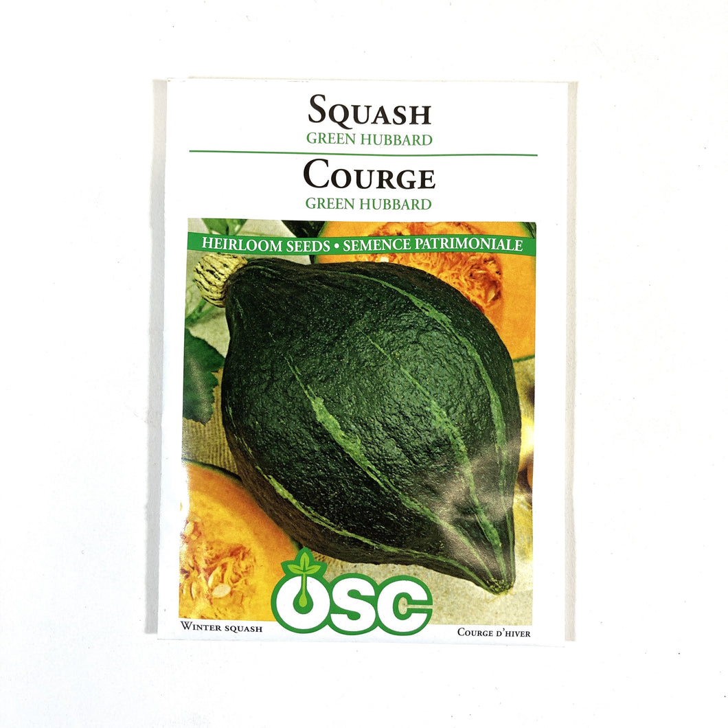 Squash - Green Hubbard Seeds, OSC