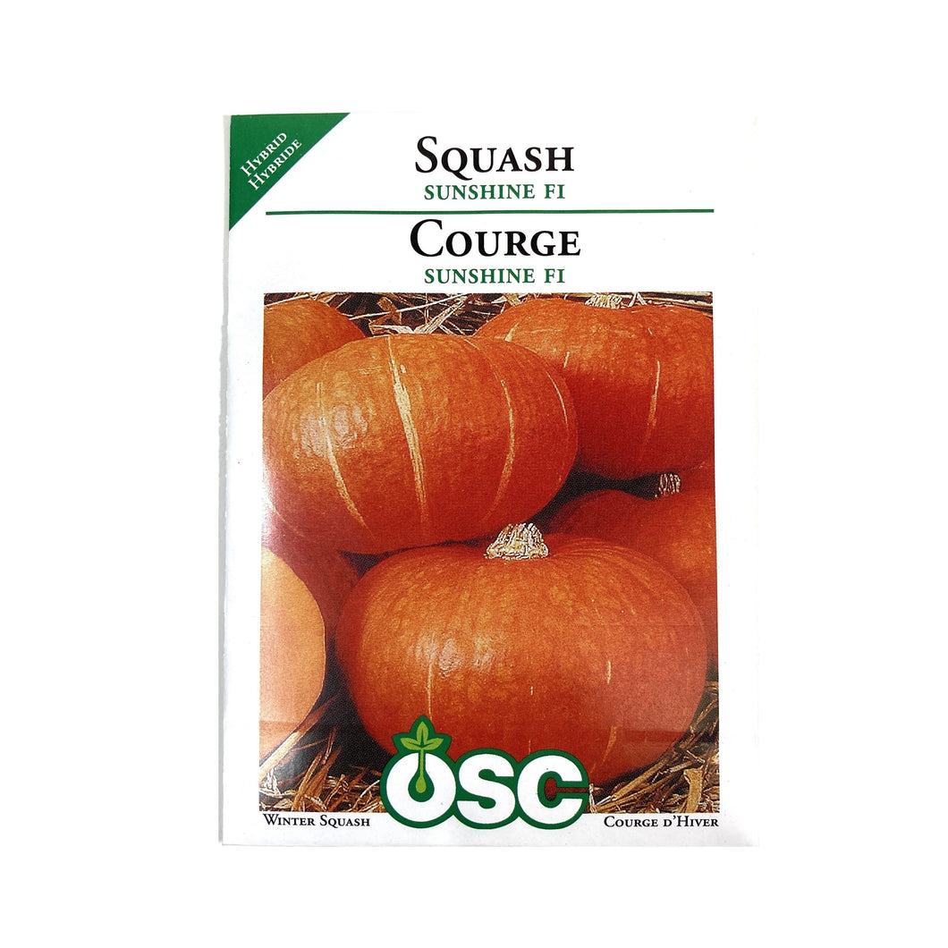 Squash - Sunshine Hybrid Seeds, OSC
