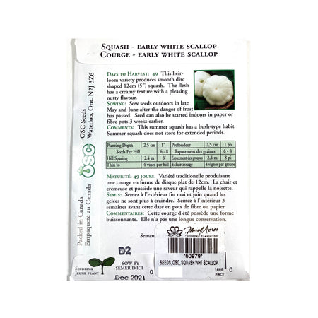 Squash - Early White Scallop Seeds, OSC