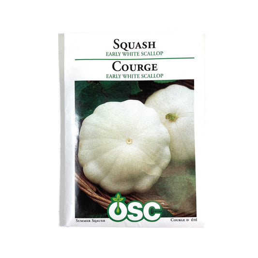 Squash - Early White Scallop Seeds, OSC