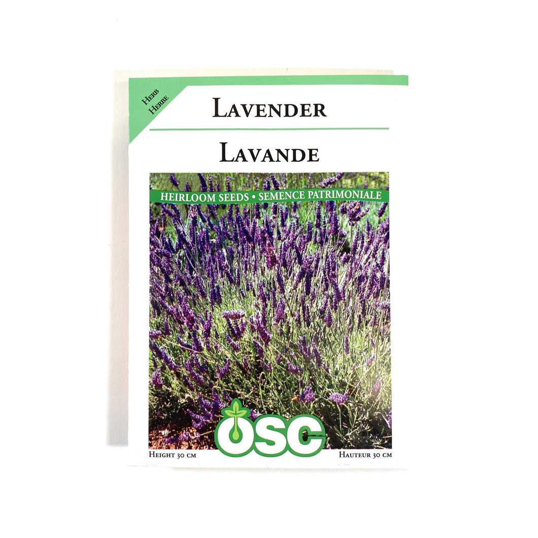 Lavender Seeds, OSC
