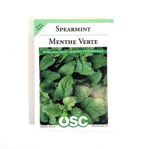 Mint - Spearmint Seeds, OSC