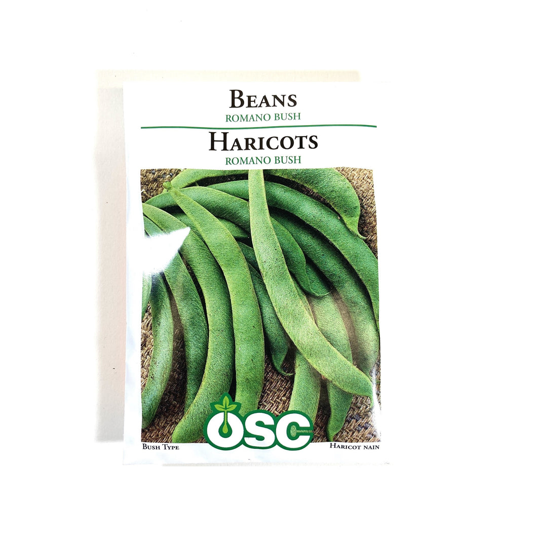Bean Bush - Romano No. 14 Seeds, OSC