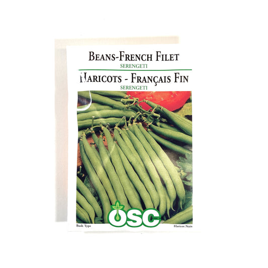 Bean Filet - Serengeti Seeds, OSC
