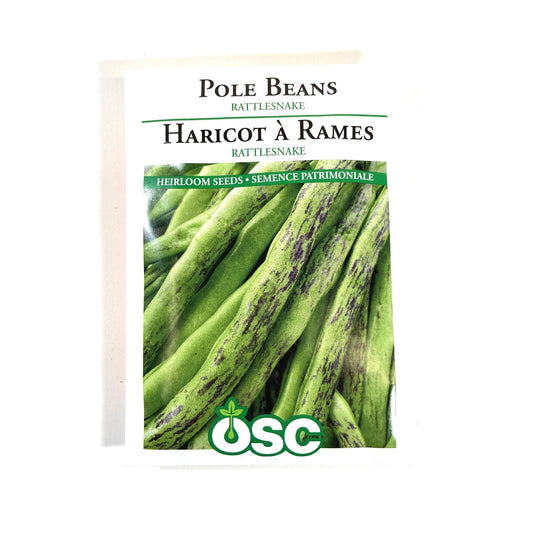 Bean Climbing - Rattlesnake Seeds, OSC