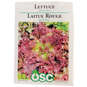Lettuce - Ruby Red Seeds, OSC