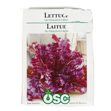 Load image into Gallery viewer, Lettuce - Outrageous Red Salad Bowl Seeds, OSC
