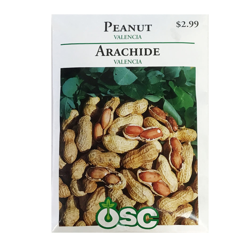 Peanut - Valencia Seeds, OSC