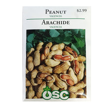 Load image into Gallery viewer, Peanut - Valencia Seeds, OSC
