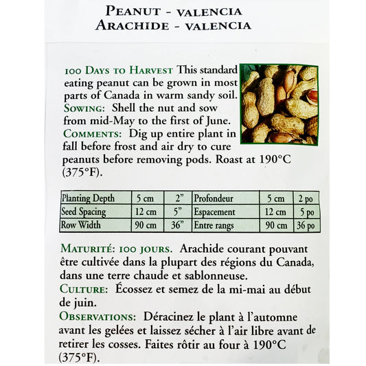 Peanut - Valencia Seeds, OSC