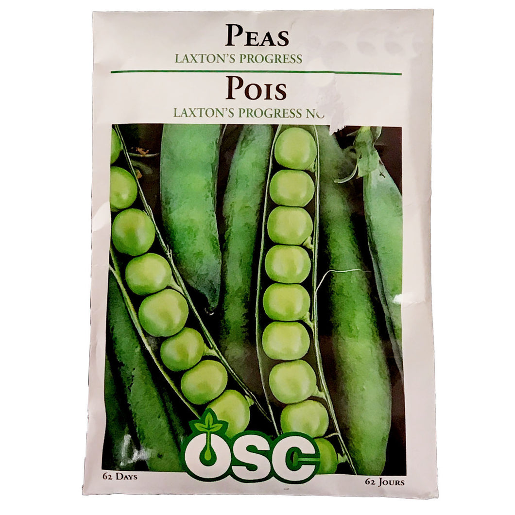 Pea - Laxton's Progress No. 9 Seeds, OSC