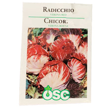 Load image into Gallery viewer, Radicchio - Verona Red Seeds, OSC
