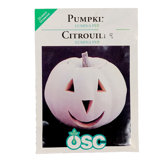 Pumpkin - Lumina Seeds, OSC