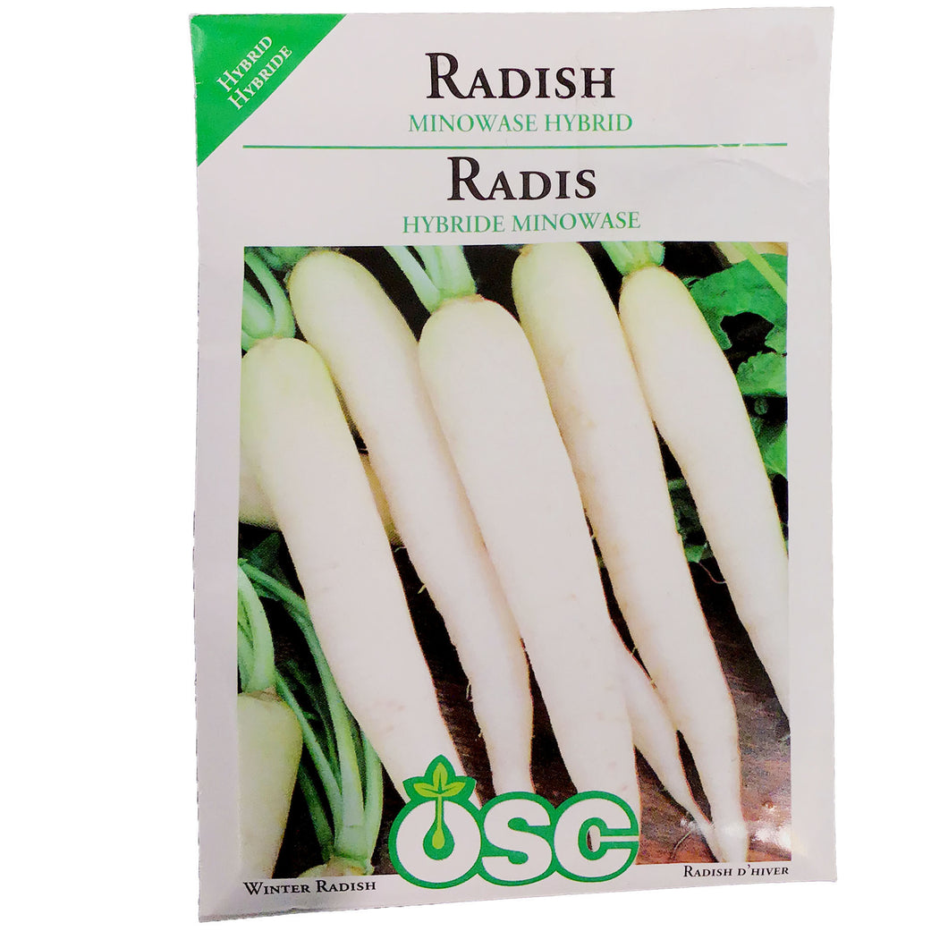 Radish - Minowase Hybrid Seeds, OSC