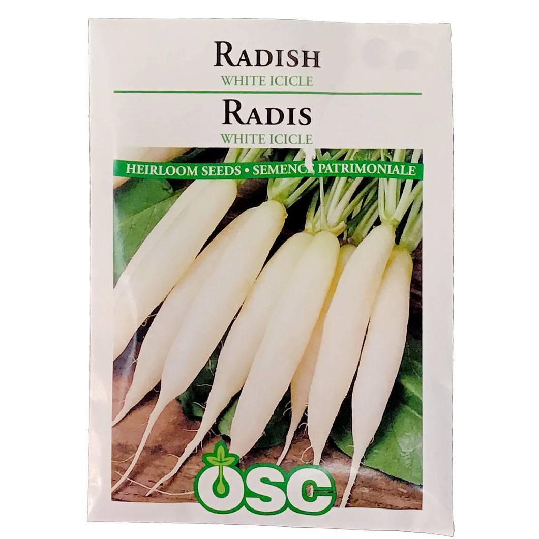 Radish - White Icicle Seeds, OSC