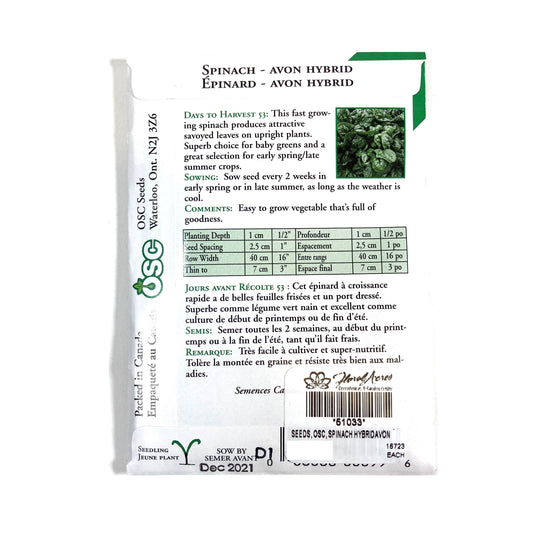 Spinach - Hybrid Avon Seeds, OSC