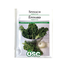 Load image into Gallery viewer, Spinach - Perpetual Swiss Chard Seeds, OSC
