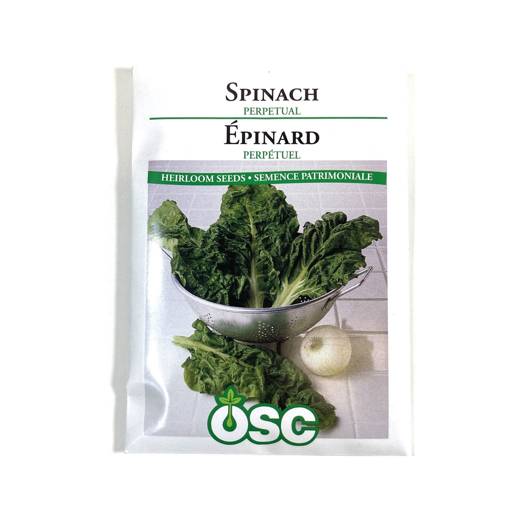 Spinach - Perpetual Swiss Chard Seeds, OSC