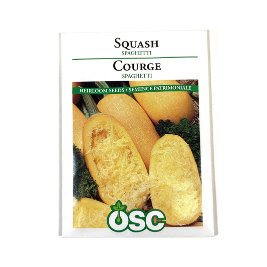 Squash - Spaghetti Seeds, OSC