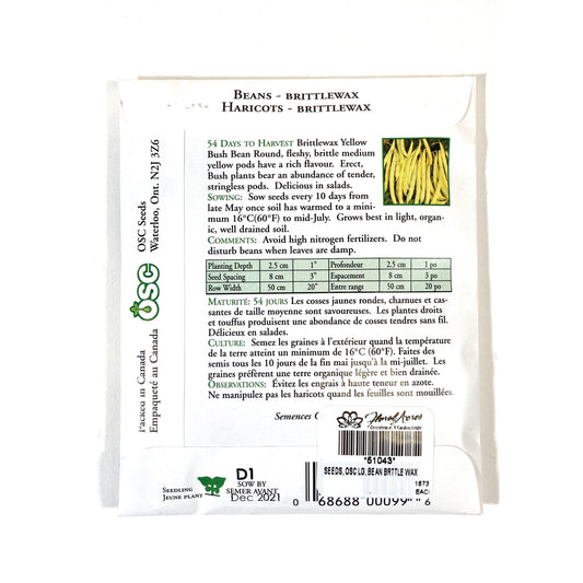 Bean Bush - Brittle Wax Seeds, OSC Large Pack