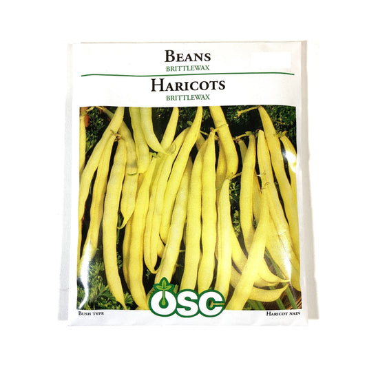 Bean Bush - Brittle Wax Seeds, OSC Large Pack