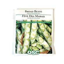 Load image into Gallery viewer, Bean Bush - Broad Wdsor Fava Seeds, OSC Large Pack
