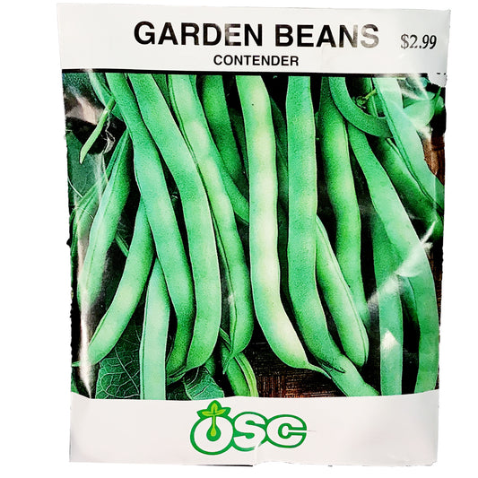 Bean Bush - Contender Seeds, OSC Large Pack