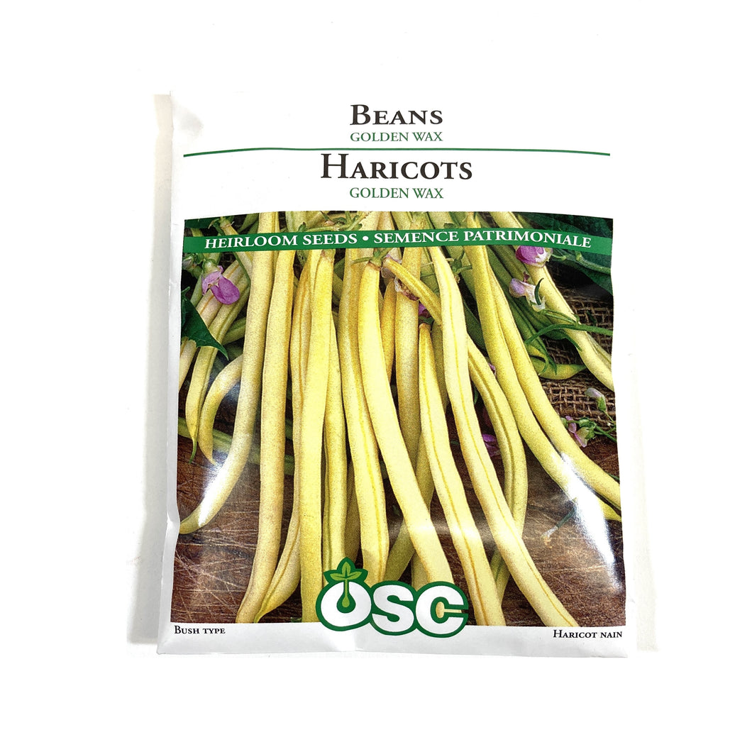 Bean Bush - Golden Wax Seeds, OSC Large Pack