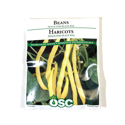 Bean Bush - Pencil Pod Black Wax Seeds, OSC Large