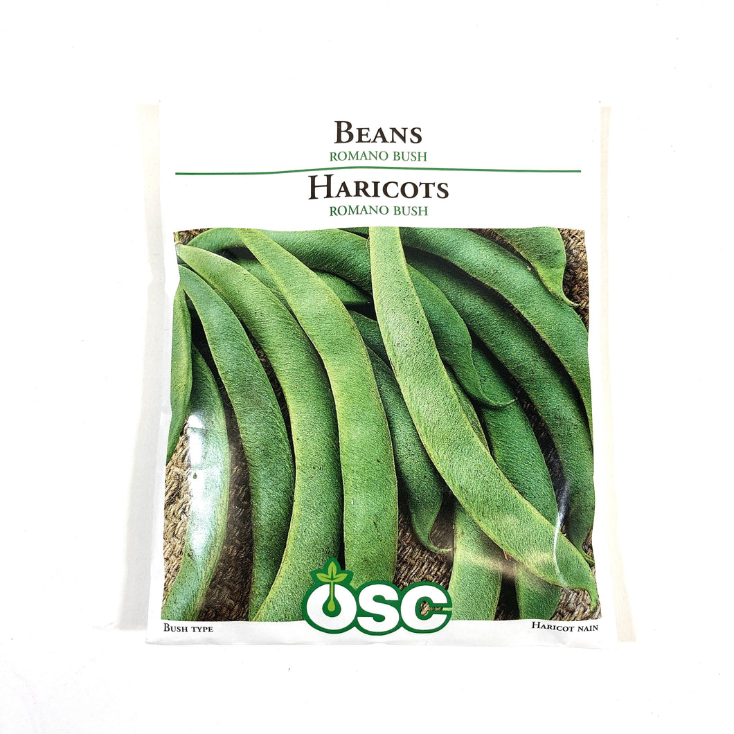 Bean Bush - Romano No. 14 Seeds, OSC Large Pack