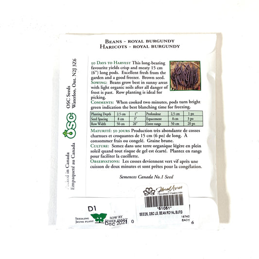 Bean Bush - Royal Burgundy Seeds, OSC Large Pack