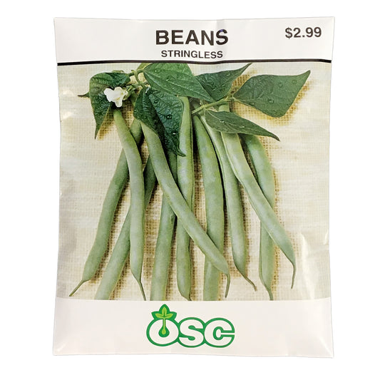 Bean Bush - Stringless Green Seeds, OSC Large Pack