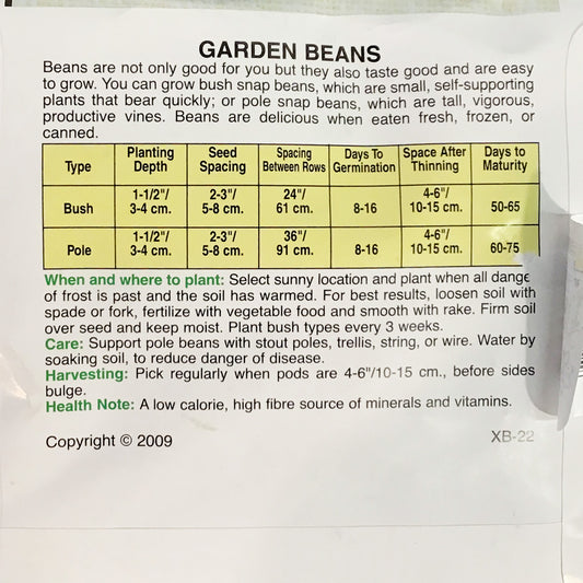 Bean Bush - Stringless Green Seeds, OSC Large Pack