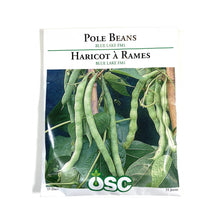 Load image into Gallery viewer, Bean Climbing - Blue Lake Seeds, OSC Large Pack
