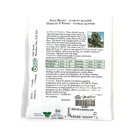 Bean Climbing - Scarlet Run Seeds, OSC Large Pack