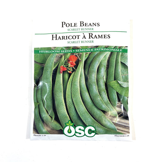 Bean Climbing - Scarlet Run Seeds, OSC Large Pack