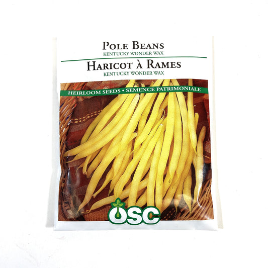 Bean Climbing - KY Wondr Wax Seeds, OSC Large Pack