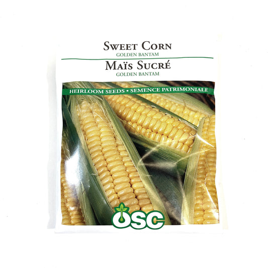 Sweet Corn - Golden Bantam Seeds, OSC Large Pack