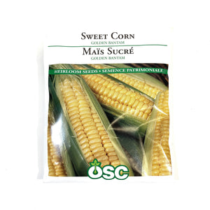 Sweet Corn - Golden Bantam Seeds, OSC Large Pack