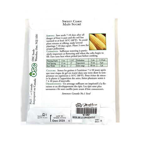 Sweet Corn - Bodacious Seeds, OSC Large Pack