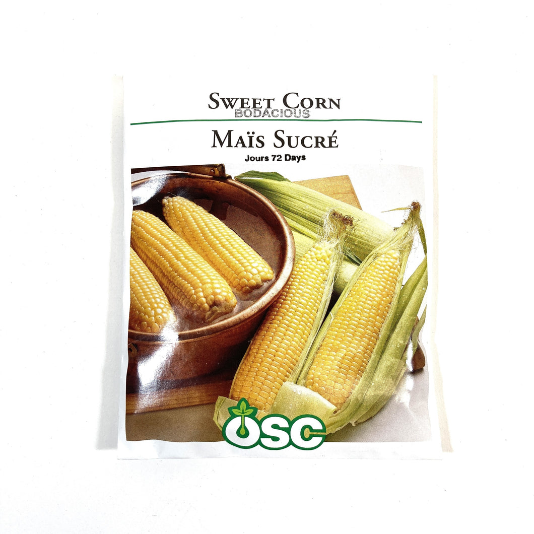Sweet Corn - Bodacious Seeds, OSC Large Pack