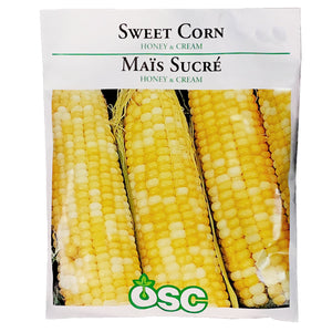 Sweet Corn - Honey & Cream Seeds, OSC Large Pack