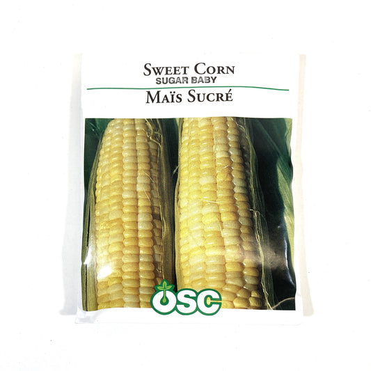 Sweet Corn - Sugar Baby Seeds, OSC Large Pack