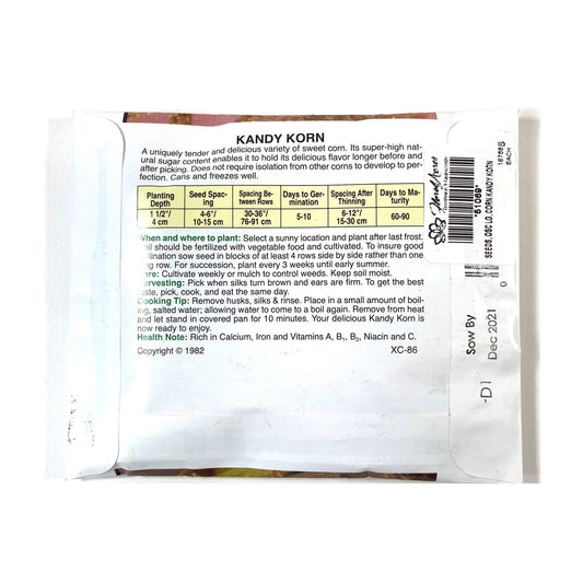 Sweet Corn - Kandy Korn Seeds, OSC Large Pack