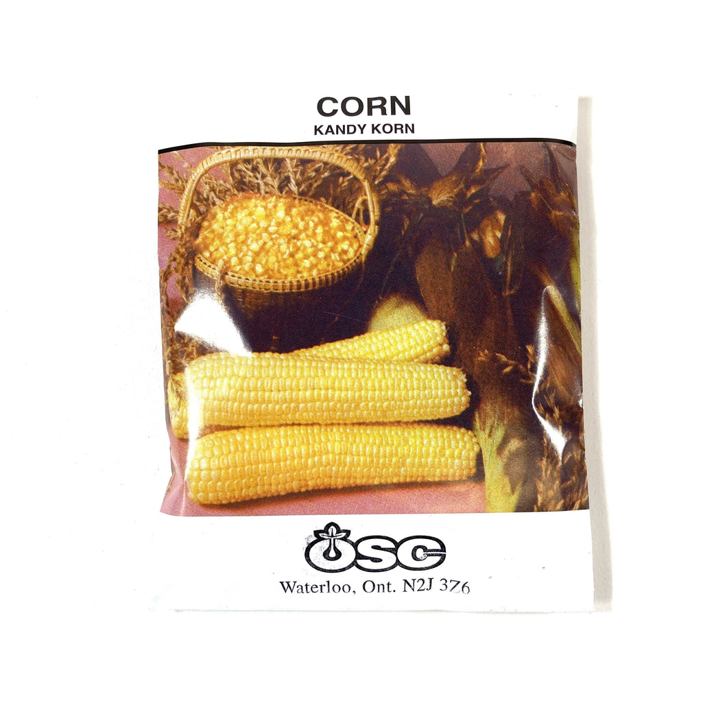 Sweet Corn - Kandy Korn Seeds, OSC Large Pack